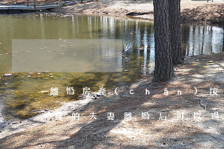 離婚房產(chǎn)按揭可以過戶嗎(有房貸的夫妻離婚后可以過戶嗎)