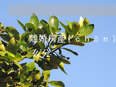 離婚房產(chǎn)是妻子一個人的名怎么分