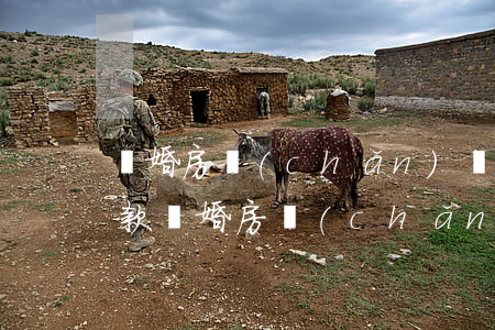 離婚房產(chǎn)證怎么去除名字(有貸款離婚房產(chǎn)證去掉名字需要什么手續(xù))