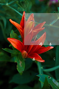 離婚房產(chǎn)起訴請求怎么寫(離婚房產(chǎn)起訴請求怎么寫)