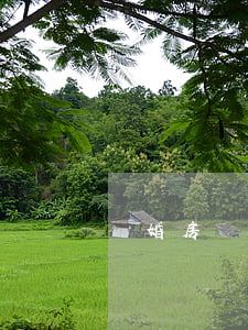 離婚房貸怎么處理