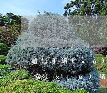 離婚手續(xù)可以委托律師辦理(有離婚協(xié)議書可以委托律師辦理離婚嗎)