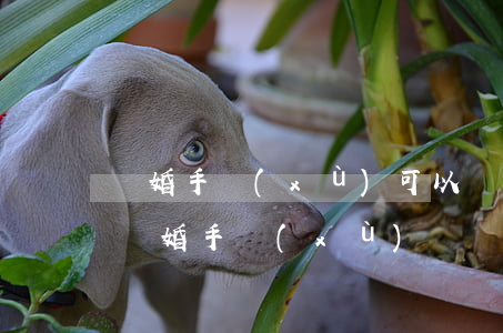 離婚手續(xù)可以異地辦理嗎(異地能辦離婚手續(xù)嗎?)