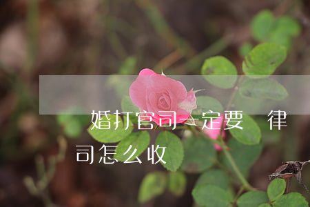 離婚打官司一定要請律師嗎(找律師打離婚官司怎么收費)