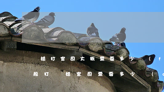 離婚打官司大概需要多少費(fèi)用(一般打離婚官司需要多少錢(qián))