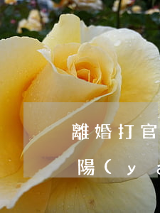 離婚打官司律師費(fèi)大概多少錢耒陽(yáng)(離婚官司律師費(fèi)要多少)