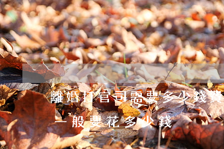 離婚打官司需要多少錢費用(法院打官司離婚一般要花多少錢)