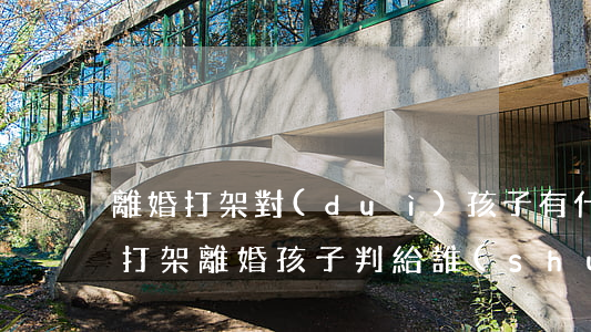 離婚打架對(duì)孩子有什么傷害(夫妻打架離婚孩子判給誰(shuí))