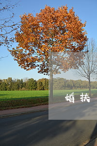 離婚扶養(yǎng)費怎么辦