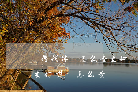 離婚找律師怎么查支付寶的錢(律師查支付寶支付明細怎么查)