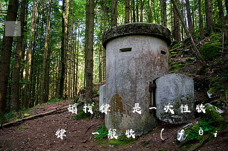 離婚找律師是一次性收費(fèi)嗎(離婚律師一般收費(fèi)標(biāo)準(zhǔn)是多少)
