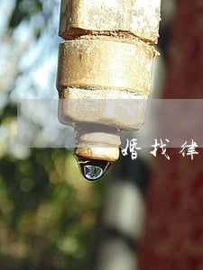 離婚找律師能幫什么(離婚律師哪里找比較好)