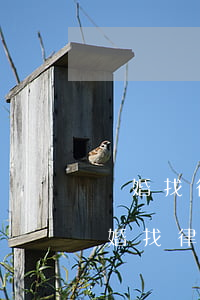 離婚找律師需要多少費(fèi)用鹽城(離婚找律師多少錢?)