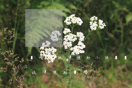 離婚找法律援助小孩歸誰(什么情況可以申請法律援助 離婚)