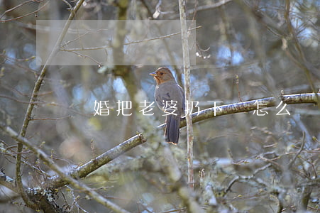 離婚把老婆扔下橋怎么辦