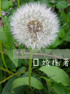 離婚拖著不辦怎么辦