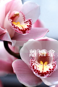 離婚拿到錢(qián)太少怎么辦