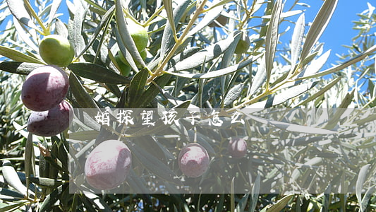離婚探望孩子怎么辦