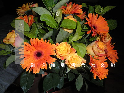 離婚接到傳票怎么辦