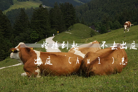 離婚接到起訴狀不去出庭可以不(起訴離婚不出庭會(huì)怎樣)