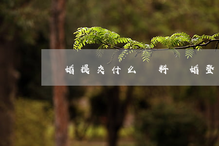 離婚提交什么資料(離婚登記需要的資料)