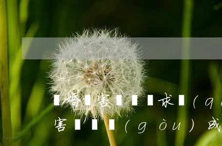 離婚損害補償請求權(quán)(離婚的損害賠償構(gòu)成要件)