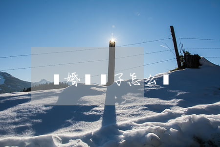 離婚搶兒子怎么辦