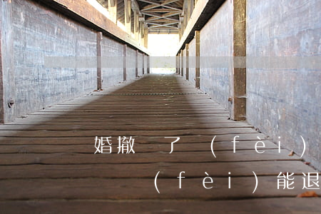 離婚撤訴了費(fèi)用能退嗎(離婚撤訴訴訟費(fèi)能退嗎)