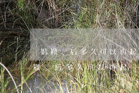 離婚撤訴后多久可以再起訴(第二次起訴離婚撤訴后多久可以再起訴)