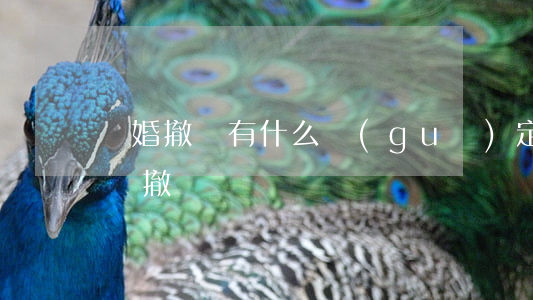 離婚撤訴有什么規(guī)定(想離婚千萬別撤訴)