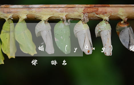 離婚撫養(yǎng)權律師排名(知名離婚律師排名)