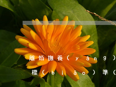 離婚撫養(yǎng)費(fèi)的判定標(biāo)準(zhǔn)