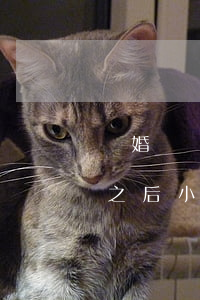 離婚撫養(yǎng)費多少錢一個月(離婚之后小孩撫養(yǎng)費一個月多少錢)