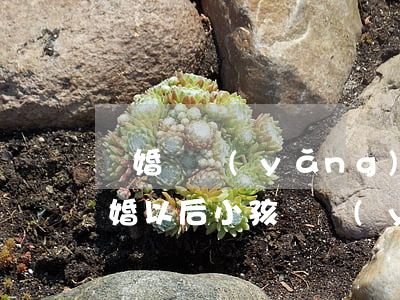 離婚撫養(yǎng)費最低多少一個月(離婚以后小孩撫養(yǎng)費是多少錢一個月)