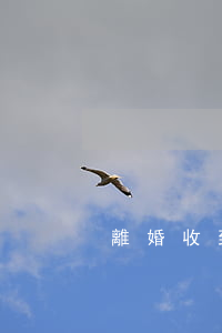 離婚收到法院傳票不想離怎么辦