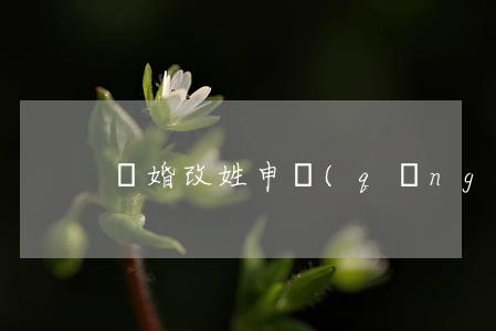 離婚改姓申請(qǐng)書