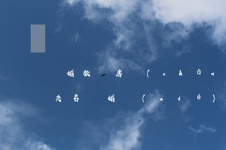 離婚放棄房產(chǎn)一方不出面怎么交易(離婚協(xié)議一方放棄房產(chǎn))