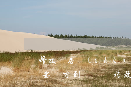 離婚放棄房產(chǎn)協(xié)議書要雙方到場嗎(離婚放棄房產(chǎn)協(xié)議書要雙方到場嗎)