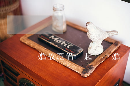 離婚故意借錢（起訴離婚時對方亂借錢）