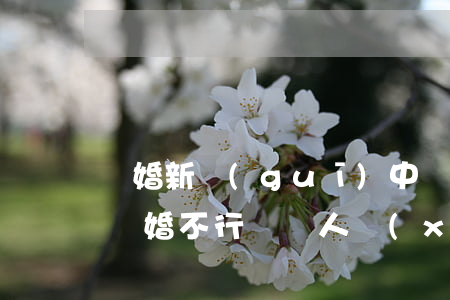 離婚新規(guī)中兩人協(xié)議離婚不行嗎(兩人協(xié)議離婚生效嗎在法律上)