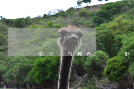 離婚方面有哪些問題(離婚考慮的問題有哪些?)