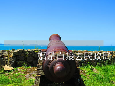 離婚是直接去民政局嗎