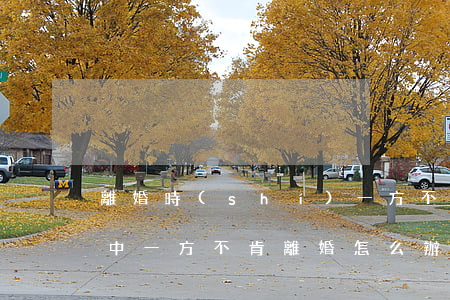 離婚時(shí)一方不肯賠償怎么辦(婚姻中一方不肯離婚怎么辦)