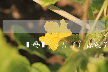 離婚時(shí)你做了什么(離婚都拿什么)