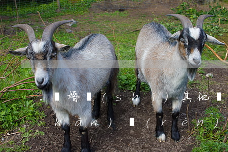離婚時(shí)其他財(cái)產(chǎn)認(rèn)定及如何進(jìn)行分割