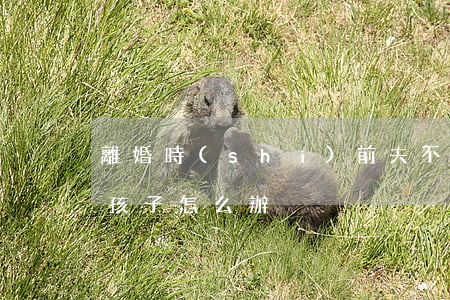 離婚時(shí)前夫不讓見(jiàn)孩子怎么辦