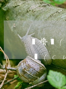 離婚時(shí)只有一方有過(guò)錯(cuò)怎么辦(夫妻一方有過(guò)錯(cuò)導(dǎo)致離婚)