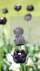 離婚時(shí)只有孩子的戶口怎么辦(沒(méi)有離婚和別人有了孩子,怎么上戶口)
