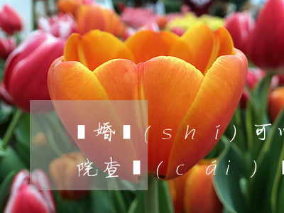 離婚時(shí)可以請(qǐng)求法院查財(cái)產(chǎn)嗎(訴訟離婚法院怎么查財(cái)產(chǎn)的)