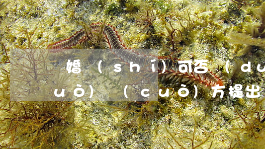 離婚時(shí)可否對(duì)過(guò)錯(cuò)方提出補(bǔ)償要求(離婚男方過(guò)錯(cuò)方怎么給女方補(bǔ)償)